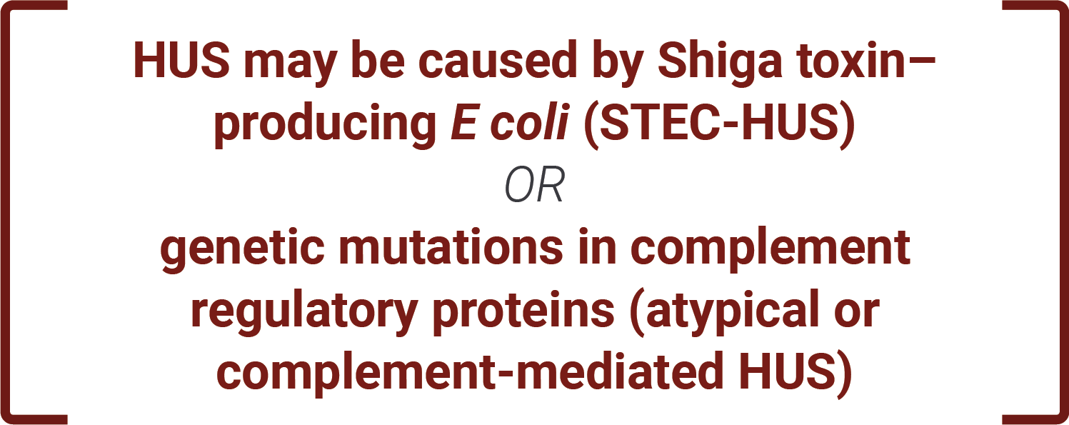 HUS may be caused by Shiga toxin-producing E col (STEC-HUS) or genetic mutations in complement regulatory proteins (atypical or complement-mediated HUS)